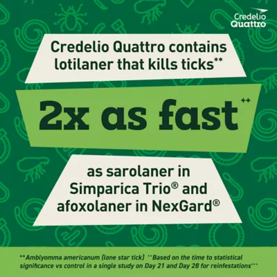Credelio Quattro Chewable Tablets Dogs 6.1-12 lbs, 6-in-1 Parasite Protection, 1 & 6 Month Supply - Image 6