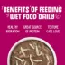 Weruva Classics Wet Cat Food - Minced in Gravy, 3 OZ image thumbnail 4