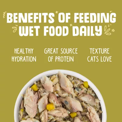 Weruva Classics Wet Cat Food - Flaked in Gravy, 3 OZ - Image 4