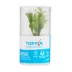 Top Fin® Microsorum Tissue Culture Live Aquatic Plant image thumbnail 3