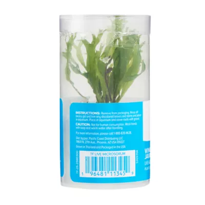 Product Top Fin® Microsorum Tissue Culture Live Aquatic Plant