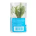 Top Fin® Microsorum Tissue Culture Live Aquatic Plant image thumbnail 5