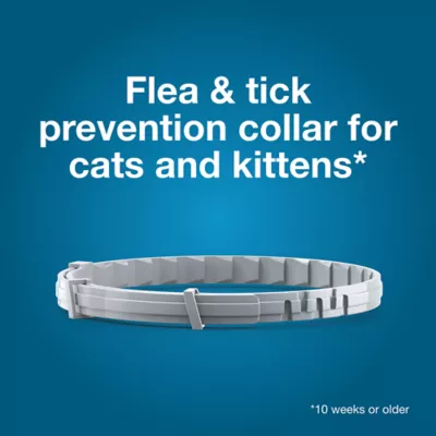 Product Seresto Cat Vet-Recommended Flea and Tick Treatment and Prevention Collar for Cats /  2-Pack