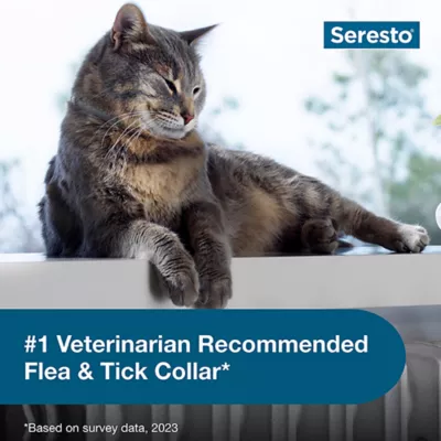 Product Seresto® Cat Vet-Recommended Flea and Tick Treatment and Prevention Collar for Cats /  2-Pack