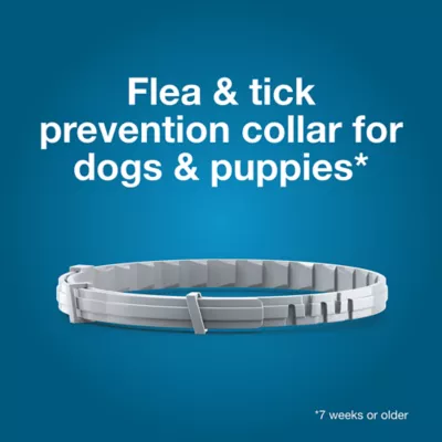 Product Seresto Dog Vet-Recommended Flea and Tick Treatment and Prevention Collar for Large Dogs /  2-Pack
