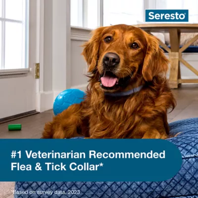 Product Seresto Dog Vet-Recommended Flea and Tick Treatment and Prevention Collar for Large Dogs /  2-Pack