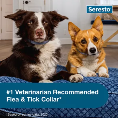 Product Seresto Dog Vet-Recommended Flea and Tick Treatment and Prevention Collar for Small Dogs /  2-Pack