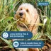 Seresto® Vet-Recommended 8-Month Collar, Flea & Tick Prevention for Small Dogs under 18 lbs image thumbnail 5