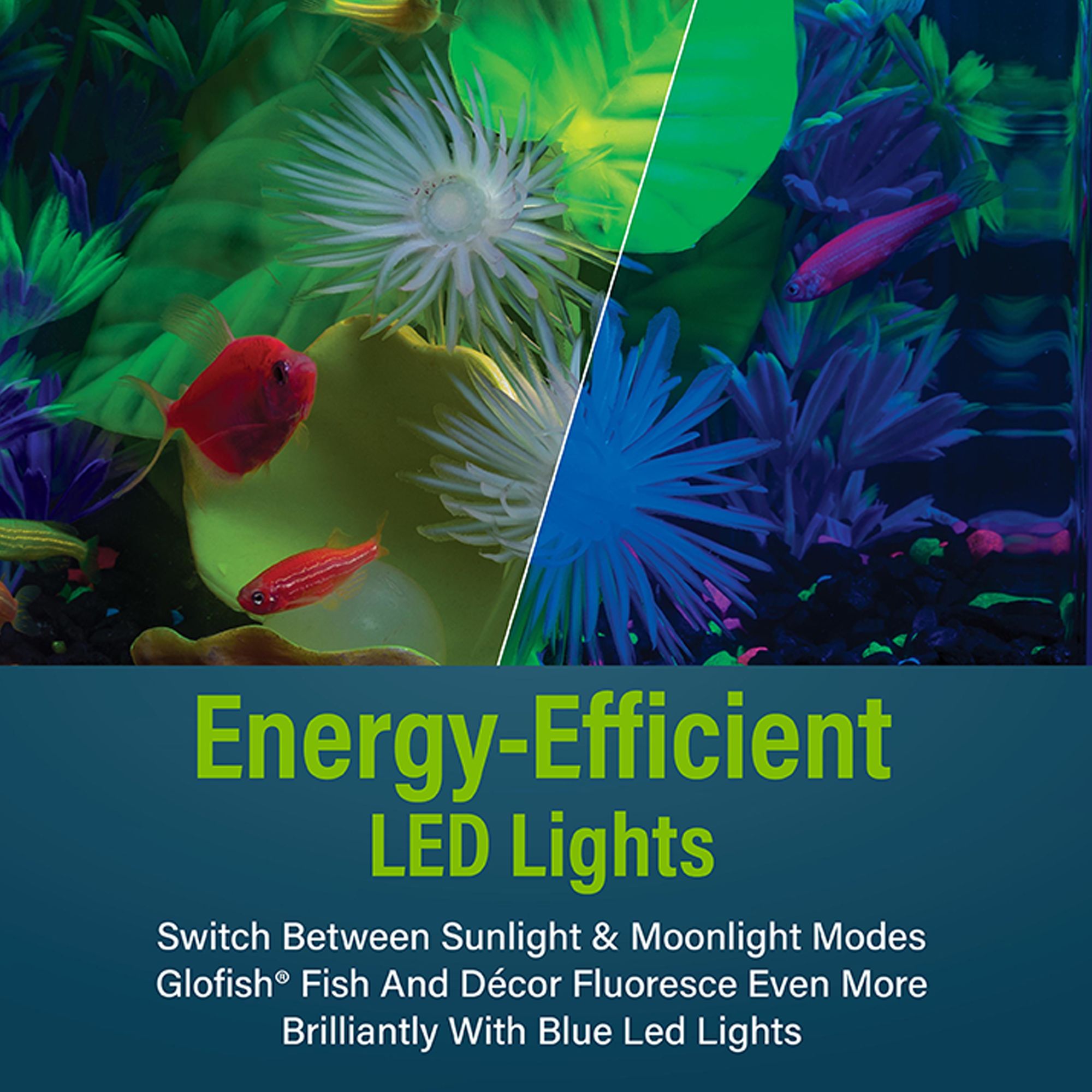 GloFish® LED Aquarium Kit - thumbnail 5