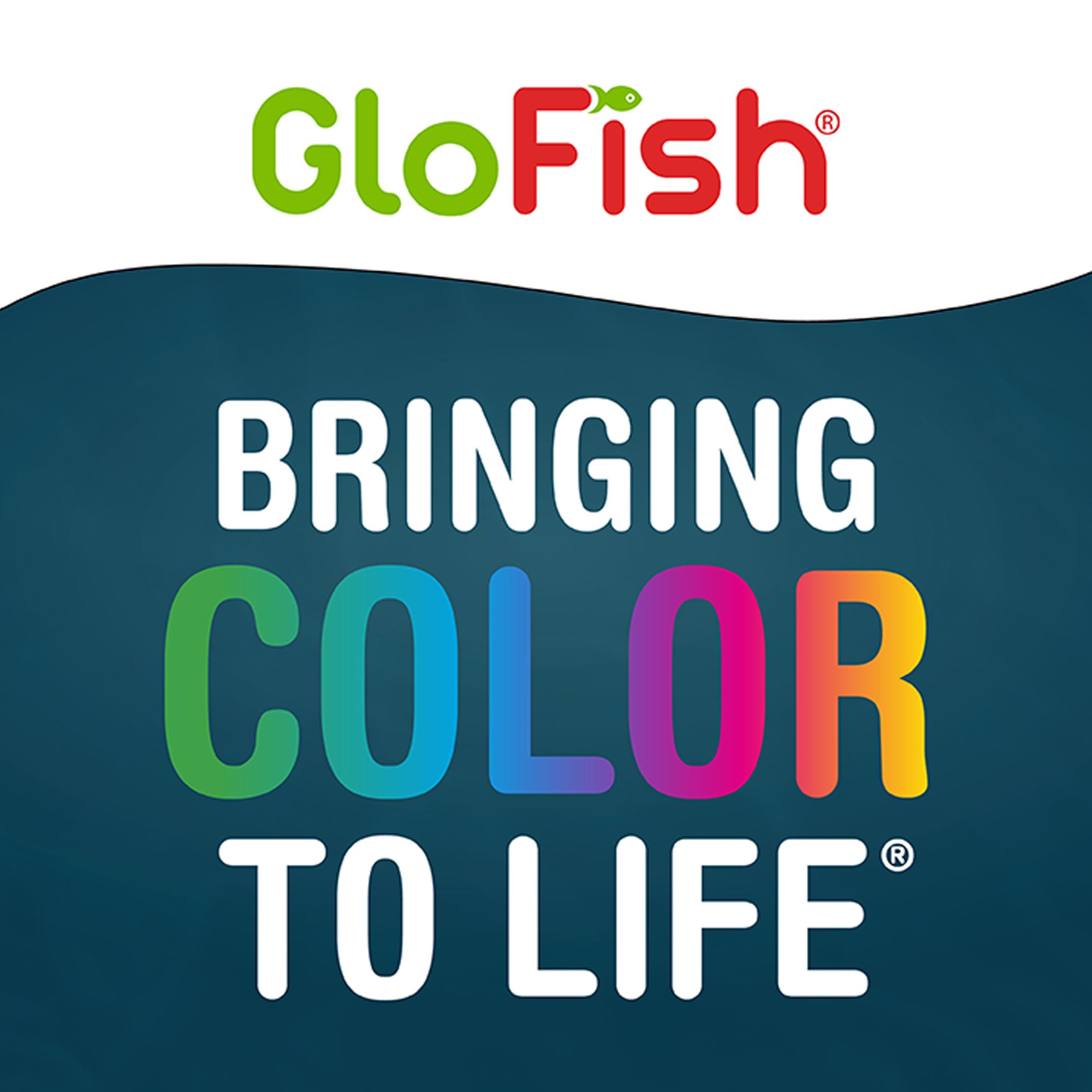 GloFish® LED Aquarium Kit - thumbnail 10