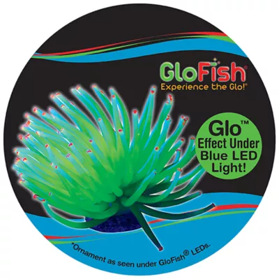Product GloFish® Anemone Aquarium Ornament