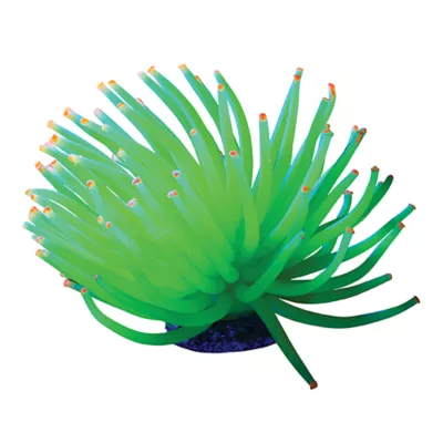 Product GloFish® Anemone Aquarium Ornament