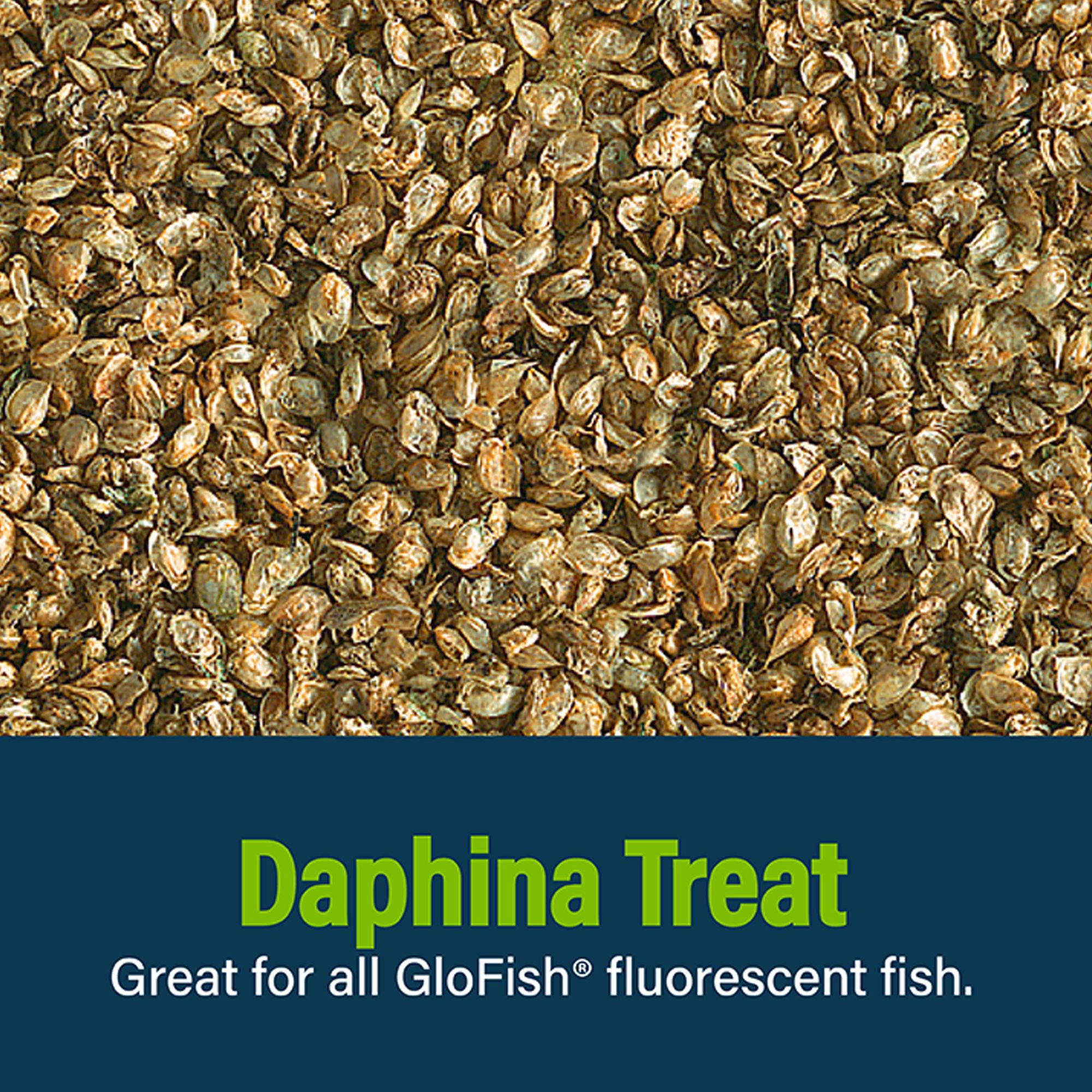 GloFish® Daphnia Aquarium Treat - thumbnail 2