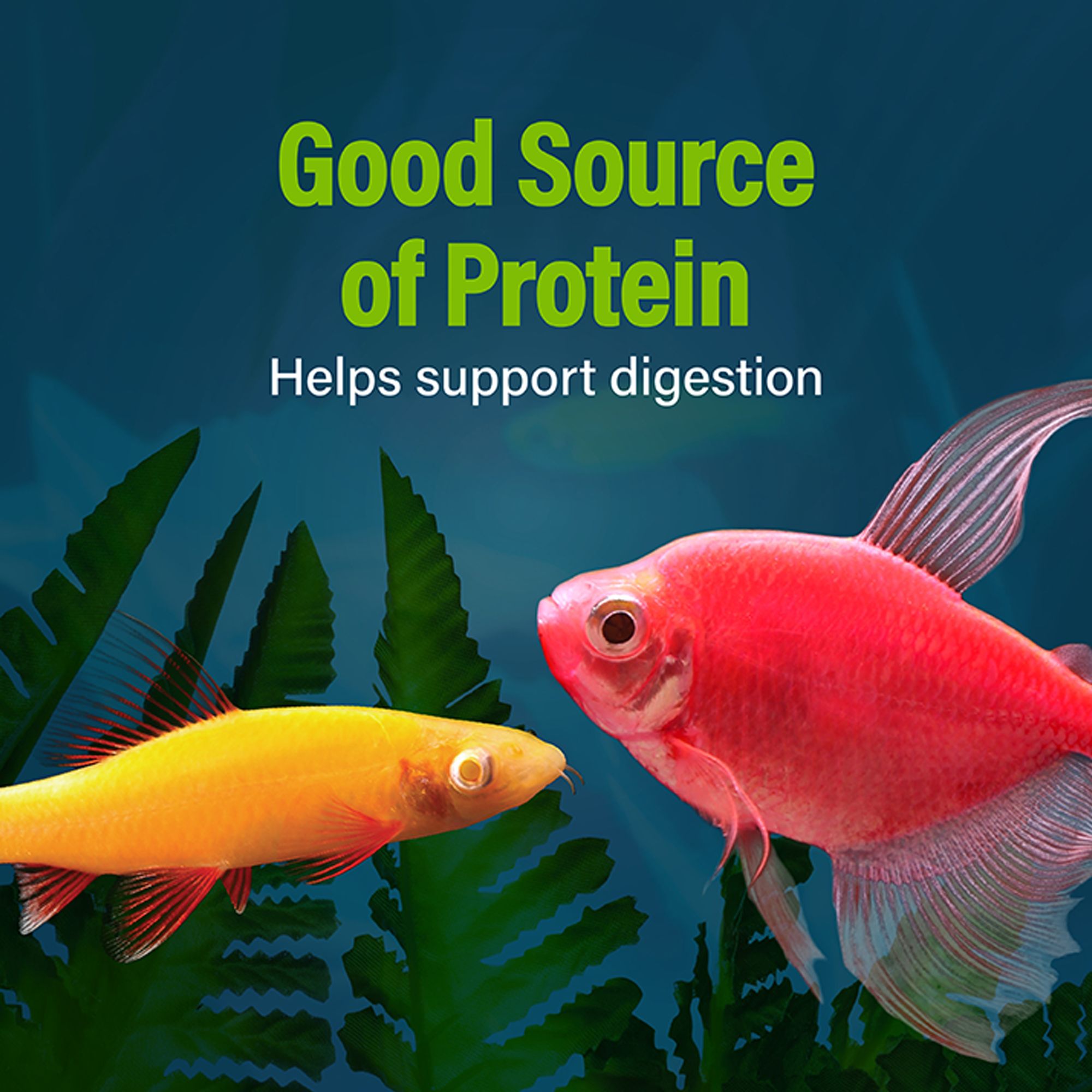 GloFish® Daphnia Aquarium Treat - thumbnail 4