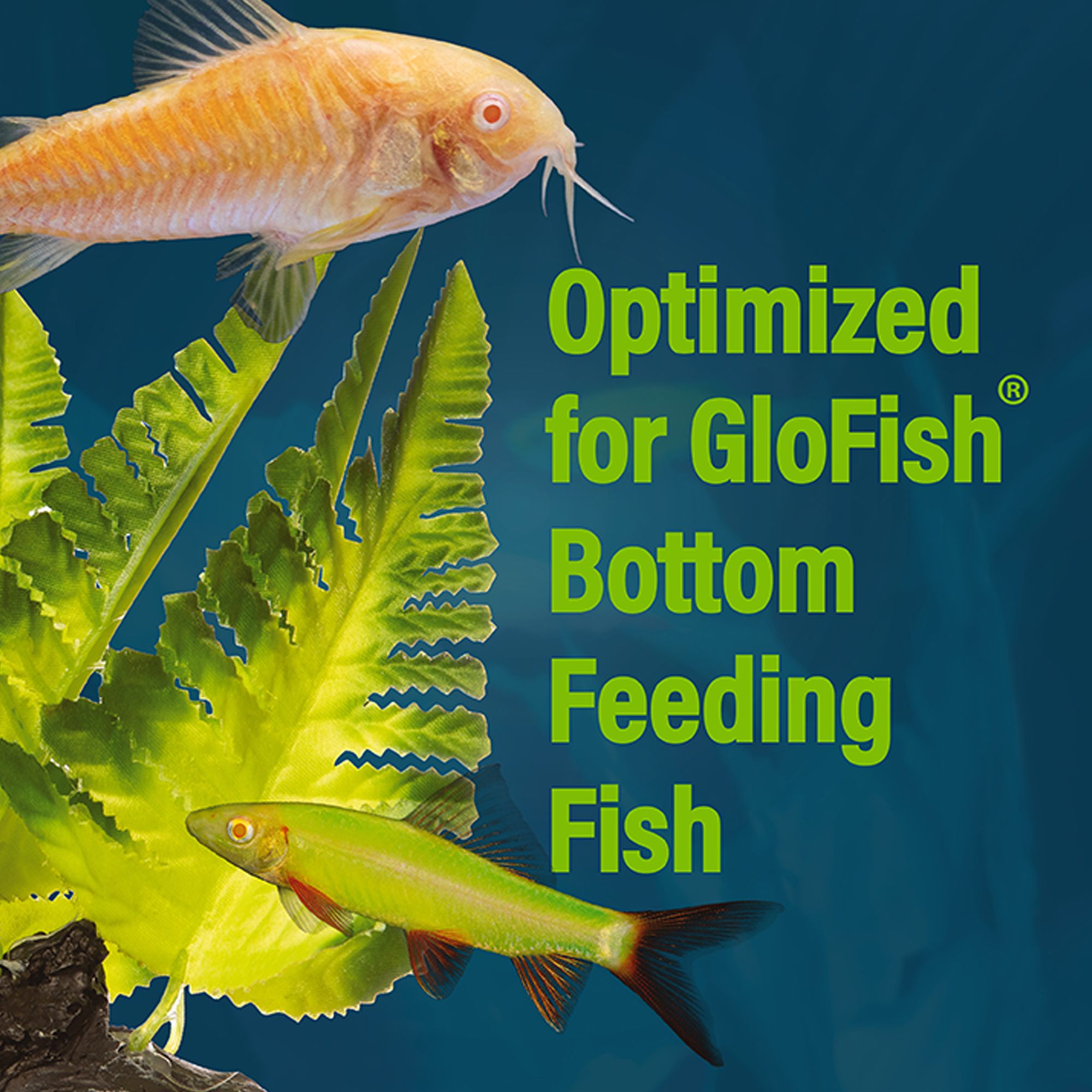 GloFish® Wafers for Sharks and Cory Catfish - thumbnail 4