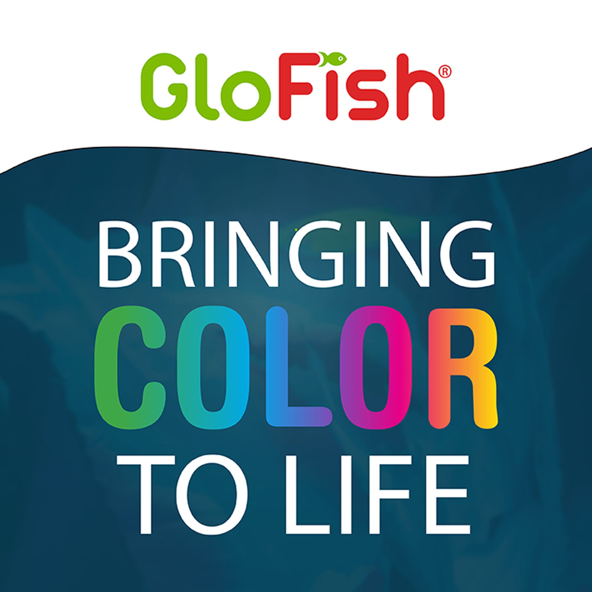 GloFish® Wafers for Sharks and Cory Catfish - thumbnail 9