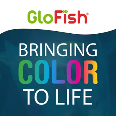 Product GloFish® Wafers for Sharks and Cory Catfish