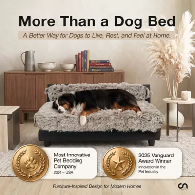 Club Nine Pets Roma Elevated Orthopedic Dog Bed - Image 9