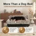 Club Nine Pets Roma Elevated Orthopedic Dog Bed image thumbnail 9