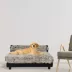 Club Nine Pets Roma Elevated Orthopedic Dog Bed image thumbnail 4