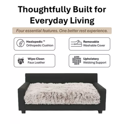 Club Nine Pets Dream Haven Orthopedic Dog Couch Bed - Image 4