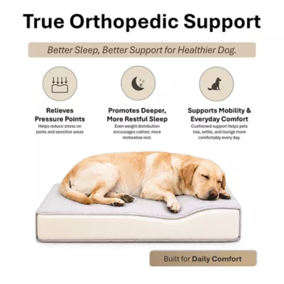 Club Nine Pets Dream Haven Orthopedic Dog Couch Bed - Image 5