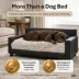 Club Nine Pets Dream Haven Orthopedic Dog Couch Bed image thumbnail 9