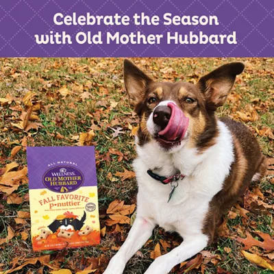 Product Old Mother Hubard P-Nuttier Dog Biscuits, 16oz/454g