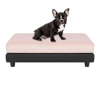 Product Club Nine Pets Snooze Collection Orthopedic Raised Dog Bed