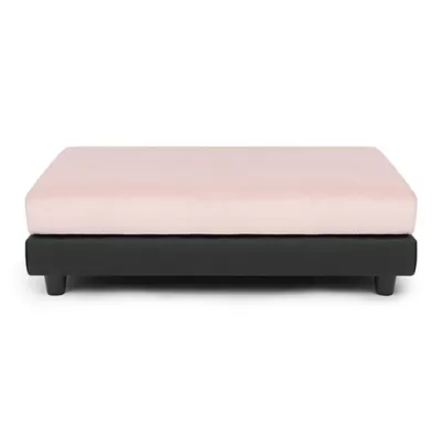 Product Club Nine Pets Snooze Collection Orthopedic Raised Dog Bed