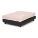 Product Club Nine Pets Snooze Collection Orthopedic Raised Dog Bed