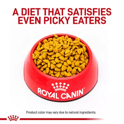 Product Royal Canin Veterinary Diet Multifunction Adult Dry Cat Food - Gastrointestinal + Hydrolyzed Protein
