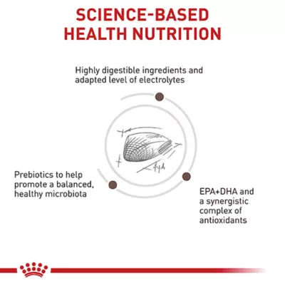 Product Royal Canin Veterinary Diet Multifunction Adult Dry Cat Food - Gastrointestinal + Hydrolyzed Protein