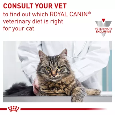 Product Royal Canin Veterinary Diet Multifunction Adult Dry Cat Food - Gastrointestinal + Hydrolyzed Protein
