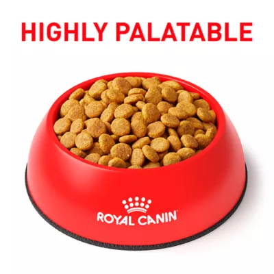Product Royal Canin Veterinary Diet Multifunction Dry Aging 7+ Cat Food - Urinary SO & Calm