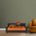 Club Nine Pets Dream Haven Orthopedic Dog Couch Bed image thumbnail 4
