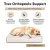 Club Nine Pets Dream Haven Orthopedic Dog Couch Bed image thumbnail 5