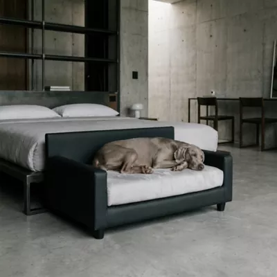 Club Nine Pets Dream Haven Orthopedic Dog Couch Bed - Image 2
