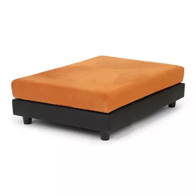 Product Club Nine Pets Snooze Collection Orthopedic Raised Dog Bed