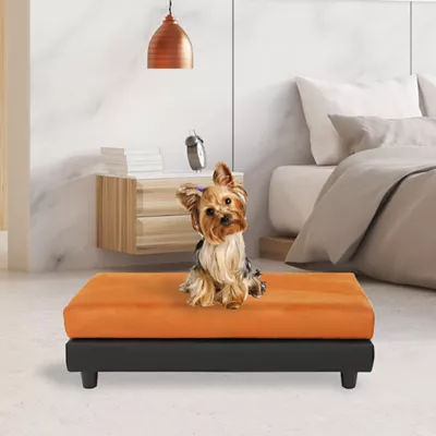 Product Club Nine Pets Snooze Collection Orthopedic Raised Dog Bed