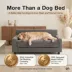 Club Nine Pets Metro Gray Sofa Orthopedic Extra Large Dog Bed image thumbnail 9