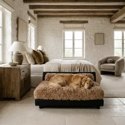 Club Nine Pets Roma Elevated Orthopedic Dog Bed - Image 2