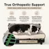 Club Nine Pets Roma Elevated Orthopedic Dog Bed image thumbnail 5