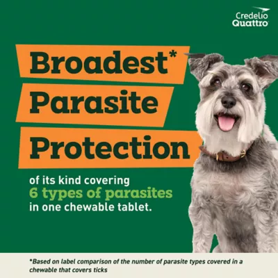Product Credelio Quattro Chewable Tablets for Dogs - 12.1-25 lbs, Orange Box