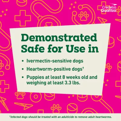 Credelio Quattro Chewable Tablets Dogs 12.1-25 lbs, 6-in-1 Parasite Protection, 1 & 6 Month Supply - Image 8