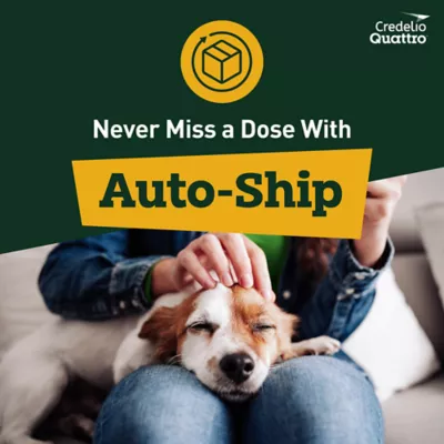 Credelio Quattro Chewable Tablets Dogs 12.1-25 lbs, 6-in-1 Parasite Protection, 1 & 6 Month Supply - Image 9