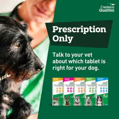 Credelio Quattro Chewable Tablets Dogs 12.1-25 lbs, 6-in-1 Parasite Protection, 1 & 6 Month Supply - Image 10