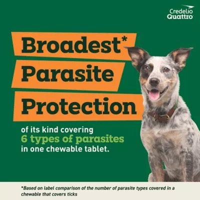 Product Credelio Quattro Chewable Tablets for Dogs - 25.1-50 lbs, Green Box