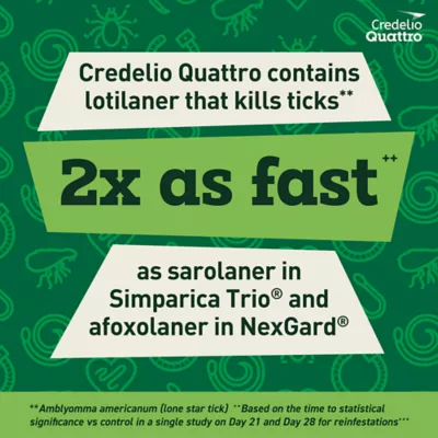 Product Credelio Quattro Chewable Tablets for Dogs - 25.1-50 lbs, Green Box