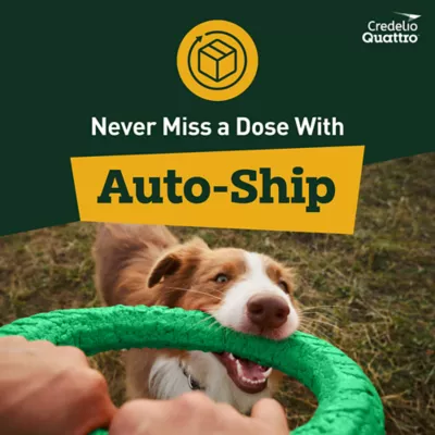 Credelio Quattro Chewable Tablets Dogs 25.1-50 lbs, 6-in-1 Parasite Protection, 1 & 6 Month Supply - Image 9